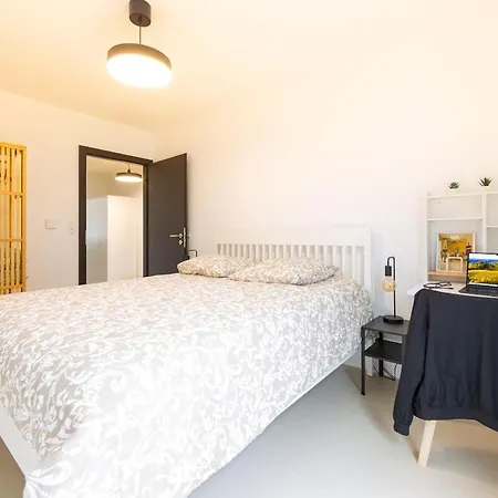 76 M2 With Rooftop Terrace Zillisheim