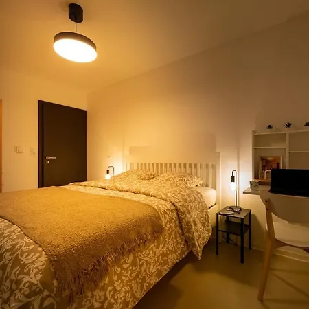 Apartment 76 M2 With Rooftop Terrace